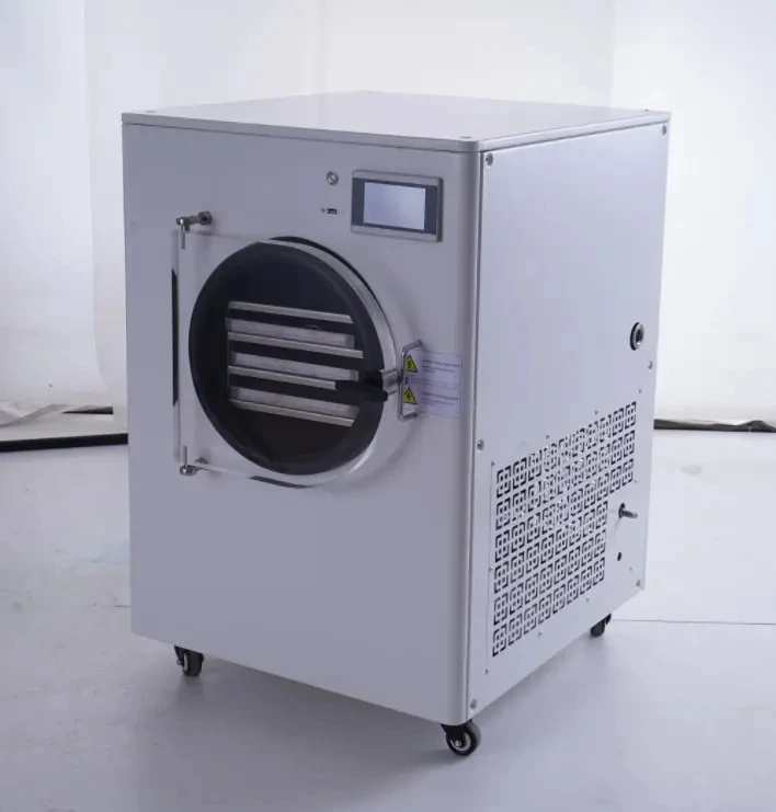 4kg 5kg 6kg Small Freeze Dryer Mini Vacuum Liofilizador Lyophilizer For Lab