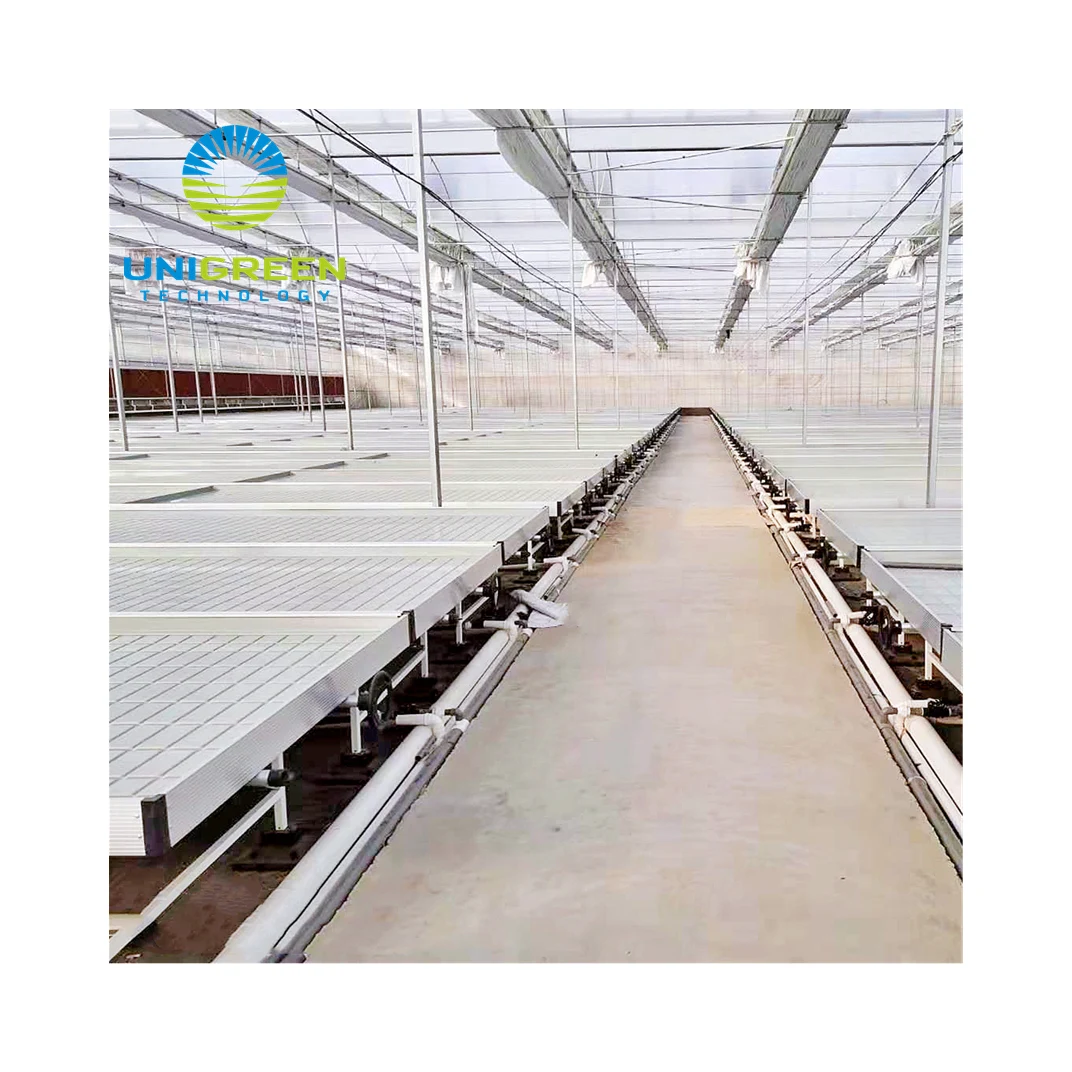 Quality Assurance Greenhouse ABS Tray Rolling Bench EBB and Rolling Table For Medical Plants and Flowers