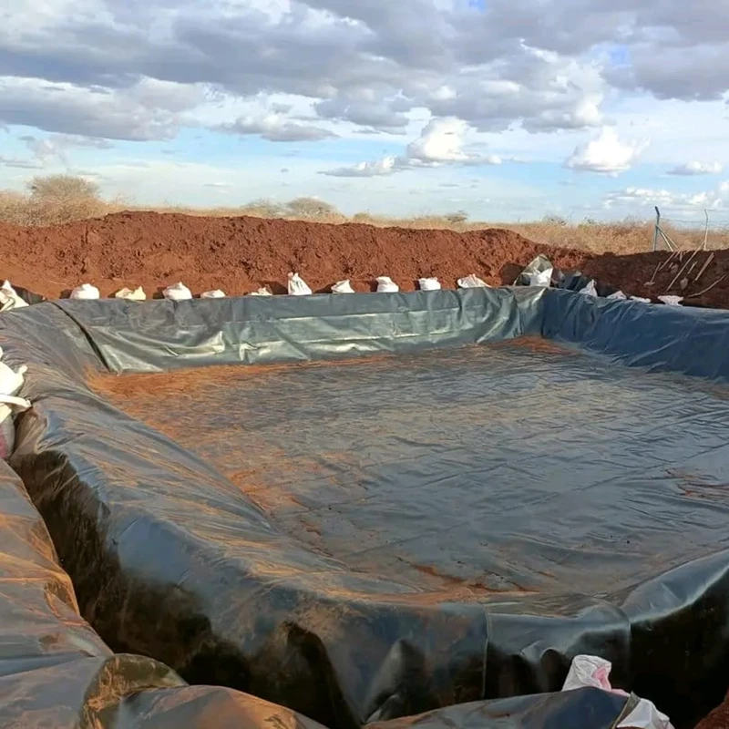 Pond Liner Geotextile Tarpaulin Fish Tanks Hdpe Membranes Geomembranas Hdpe 2 mm Geomembrane