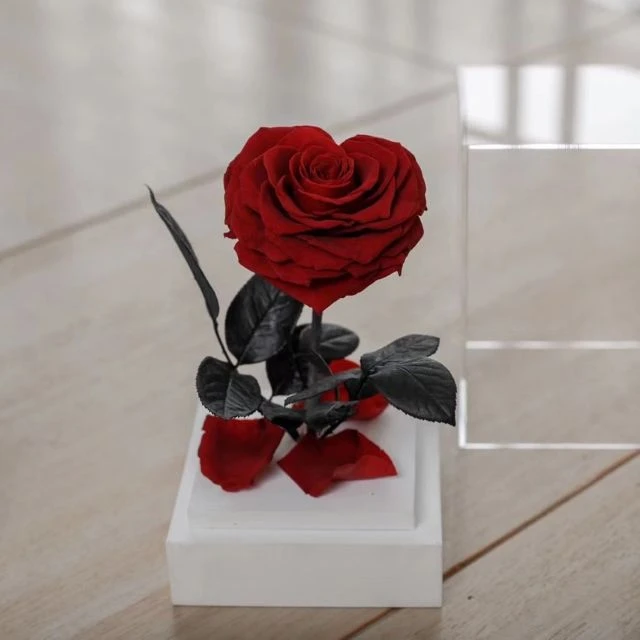 Factory price red roses gift summer flora wholesale forever red rose acrylic box flower send to a friend