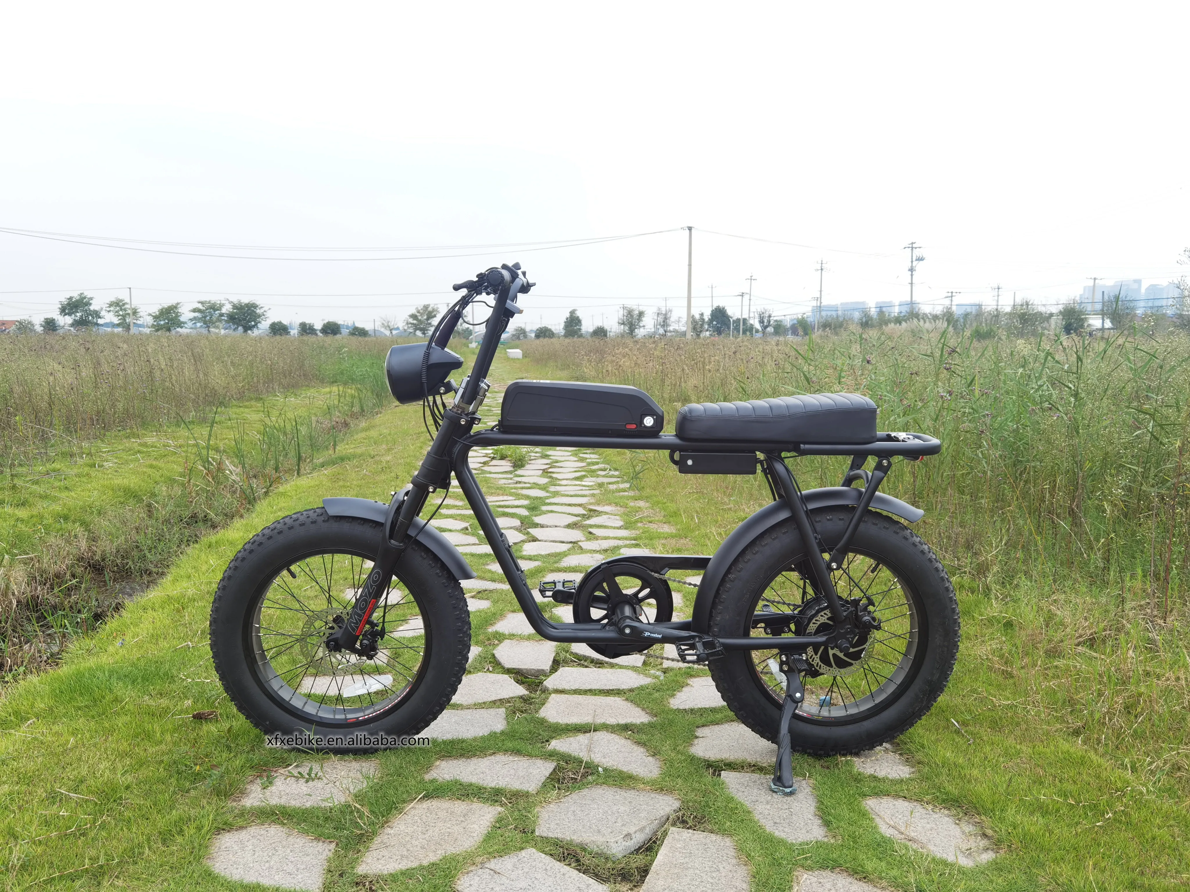 Fast Delivery 20Inch Electric Fat Tire Bike 750W Bafang Rear Motor Snow Beach Super Ebike Electric Bicycles 73
