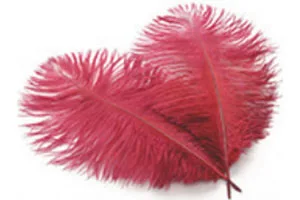 Wholesale High quality Cheap red bulk large ostrich feather