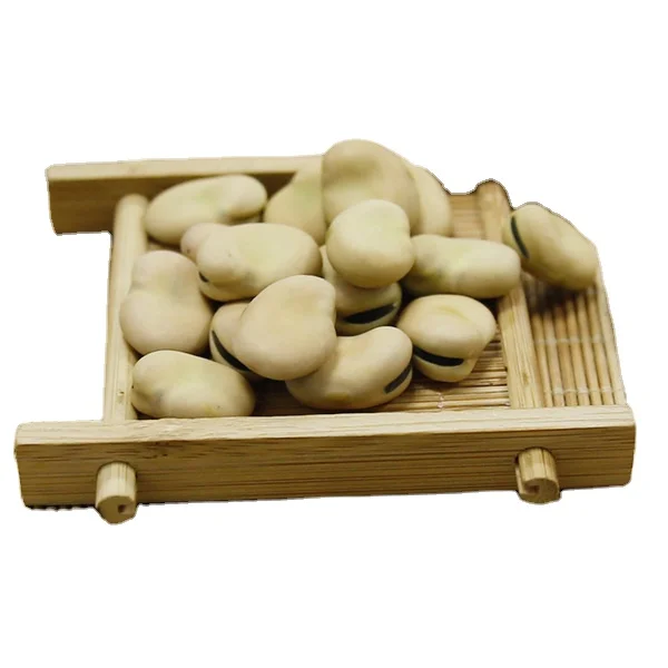 Dried board beans bulk dry fava beans