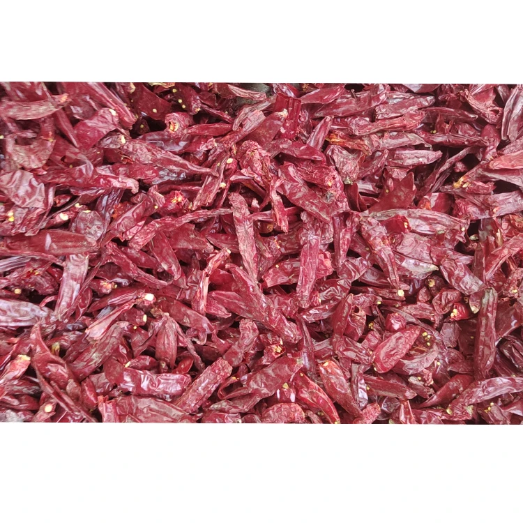 High quality dried paprika chili chili paprika New Crop for supply best spice chili paprika for sale