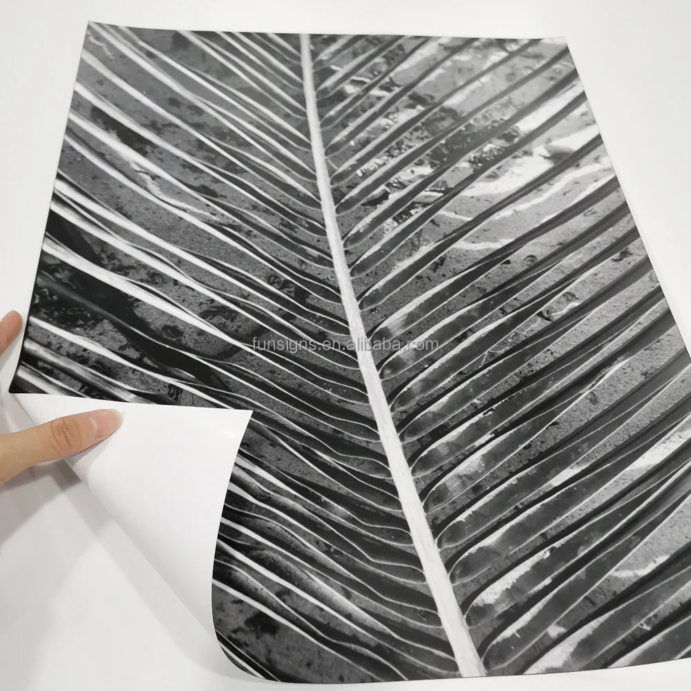 Custom Paper Poster Printing Wall Decor PVC/ Fabric/ Canvas Posters