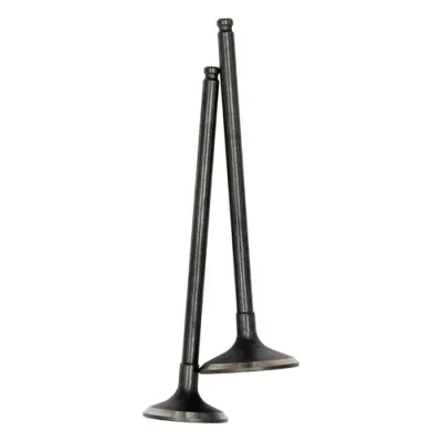 Durable Using Motorcycle Factories Spare Auto Parts Diesel Engine Car Part Intake and Exhaust Valves