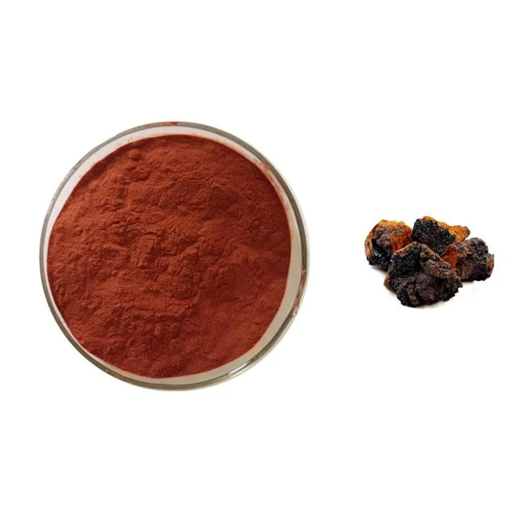 Высококачественный гриб Чага (экстракт фаеопоруса обликуса, полисахарид инонуса обликуса) 20%