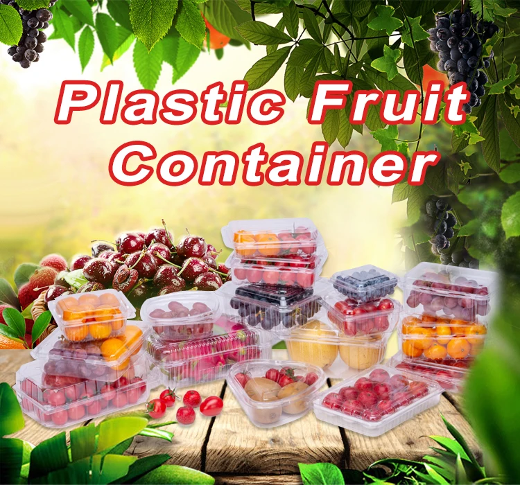 plastic blister fruit vegetable container fruits vegetables corrugated plastic boxes
