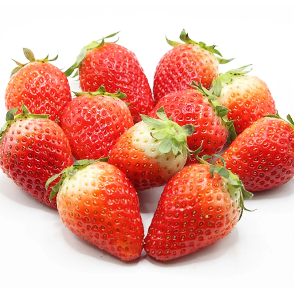 Bright red sweet sour fresh berries agriculture sweet strawberry plants
