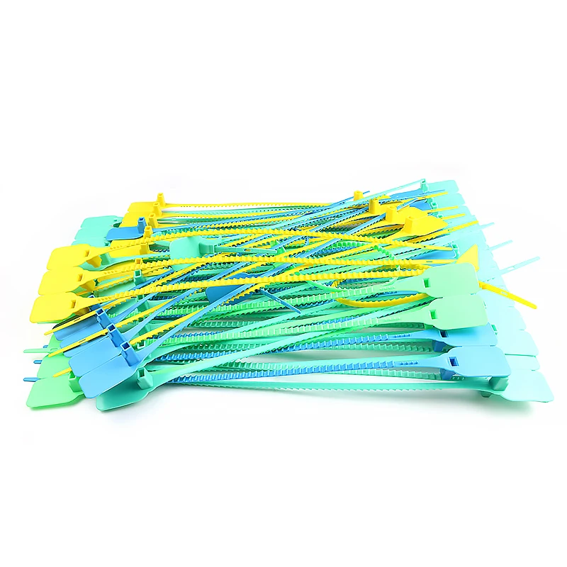 SK3006P  Price Tag With Plastic Seal Plastic Security Seal