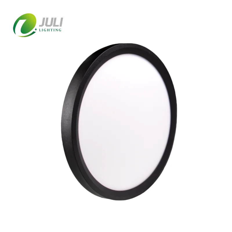 Modern Minimalist Design CB CE Approved 300 400 600 800mm Big Round Pendant Light CCT changeable for Indoor Decoration Lighting