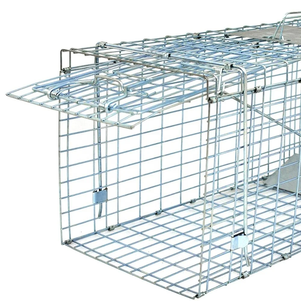 
31x11x13' Folded Humane Large Live Animal Cage Traps 