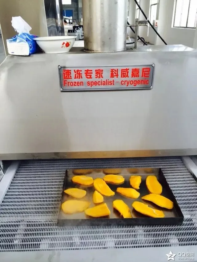 SS 304 Instant Freezer French Fries Durian Fruit Frozen Quick Freezing Machine