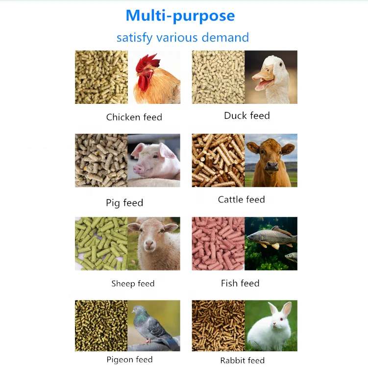 Livi Factory Price Farm Use Animal Pet Fish Feed Processing Pillet Machine Goat Chicken Feed Pellet Mill For Sale South Africa