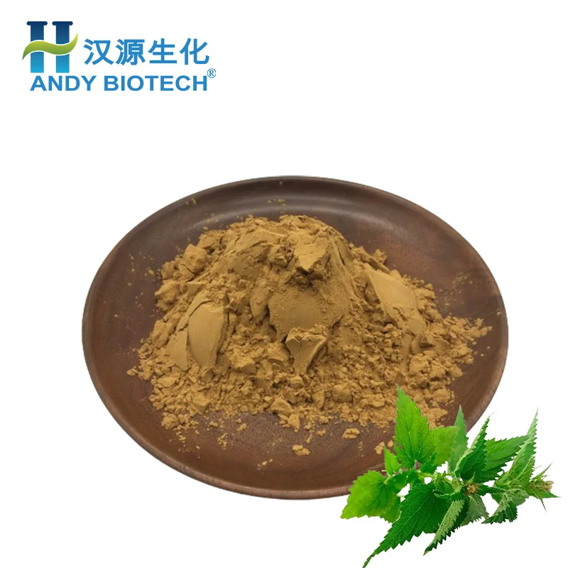 Wholesale Supply Stinging Nettle Root Extract Nettle Extract Powder