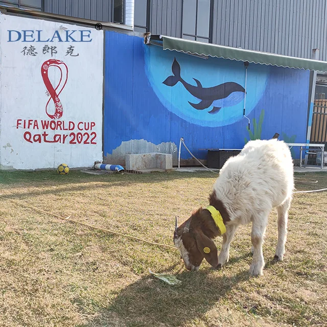 Прямая Продажа с фабрики Delake пользовательские Ушные бирки солнечная энергия GPS трекер для коровьего скота буйволов быков телят