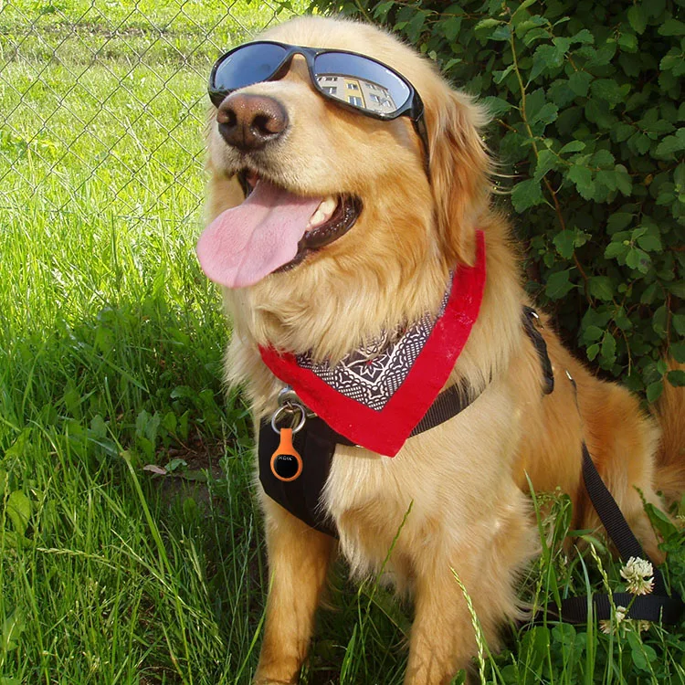 Cat Dog Animal Bluetooth- Pedometer Pedometer Calorie Bluetooth Pet Tracker