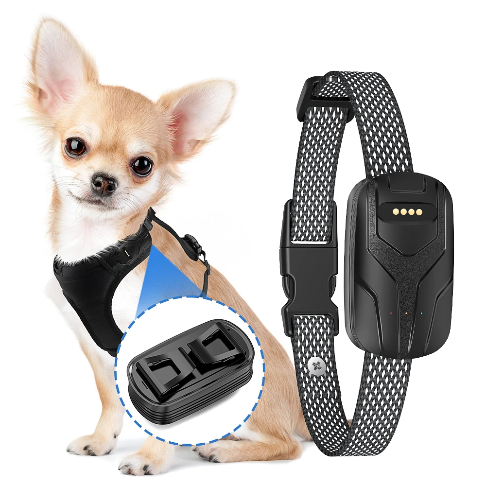 High Accurate Smart 4G Network GPS WIFI APP and Web Real Time Location Outdoor Hunting Dog Pet Tracker Collar Tracking for Pet