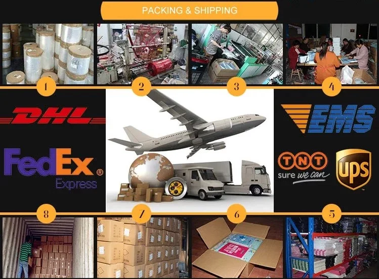 paste-pic-dp_uuid_qj95y