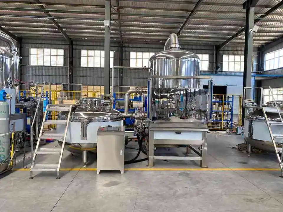 vacuum fried okra cheese paprika chees cucumber squid fruits snacks frying machine