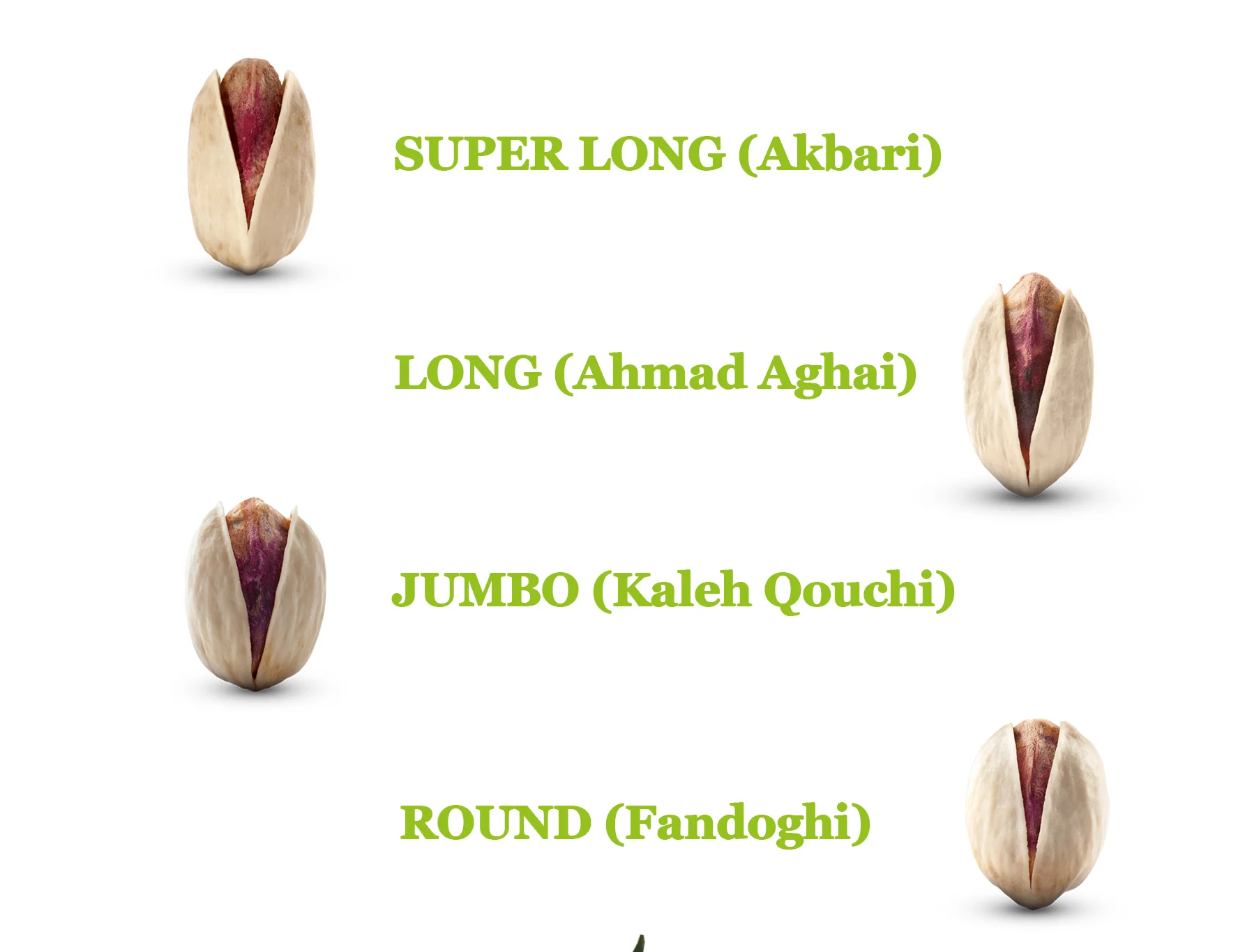 Oman highest economic value dried nuts pistachio shells for sale