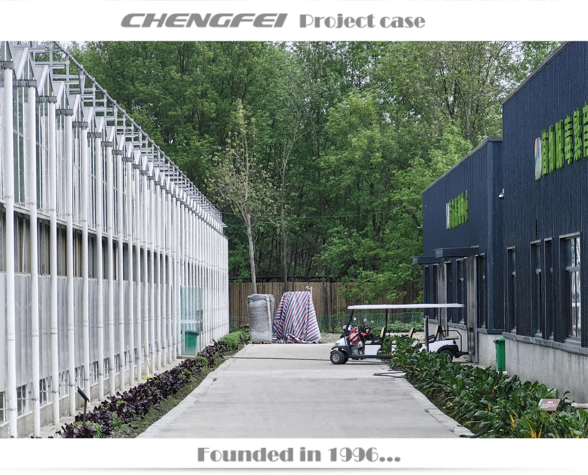 Multi-span agricultural venlo large flower vegetable glass agricultural greenhouse Frame supplier for sale