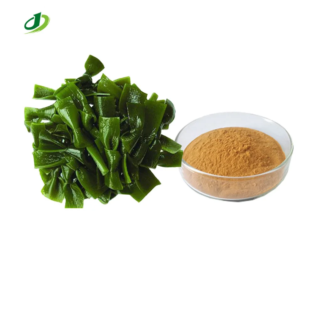Kelp Seaweed Extract wakame kelp extract Spirulina Algae Extract 10:1