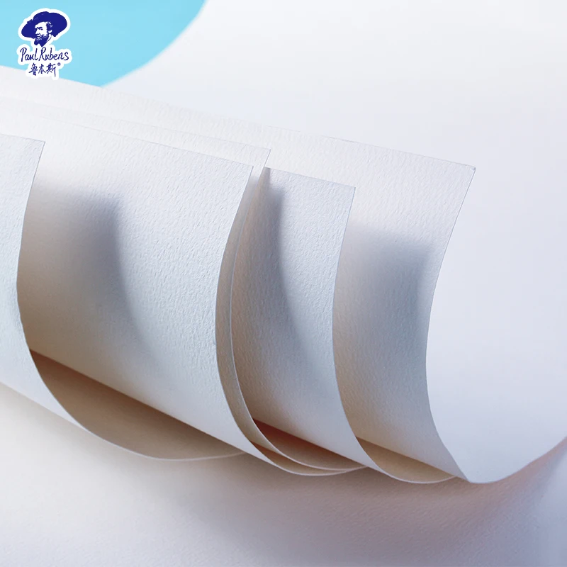 Paul Rubens Handmade Watercolor Paper 5Sheet Professional Artist 100% cotton 450GSM Coarse Grain Collection Series 22x30 Inches