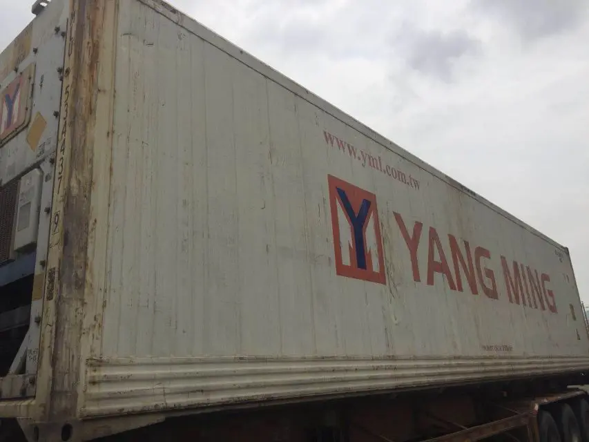 hot sale used cold container for fish to Africa