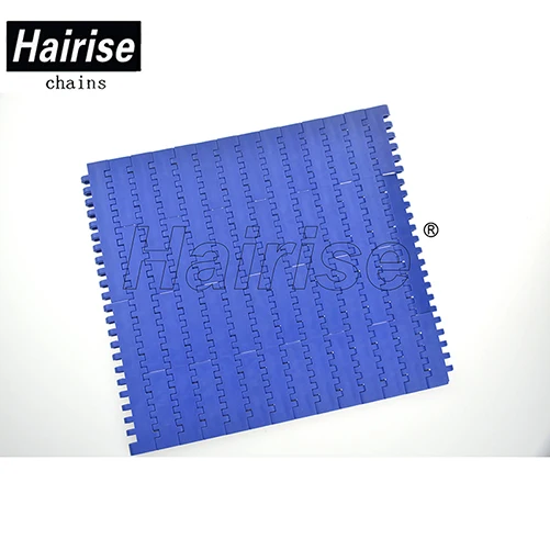 Manufacturer/producer of Hairise 1100 Series Plastic Flat Top Belt for Conveyor for Sale distributor wholesale price