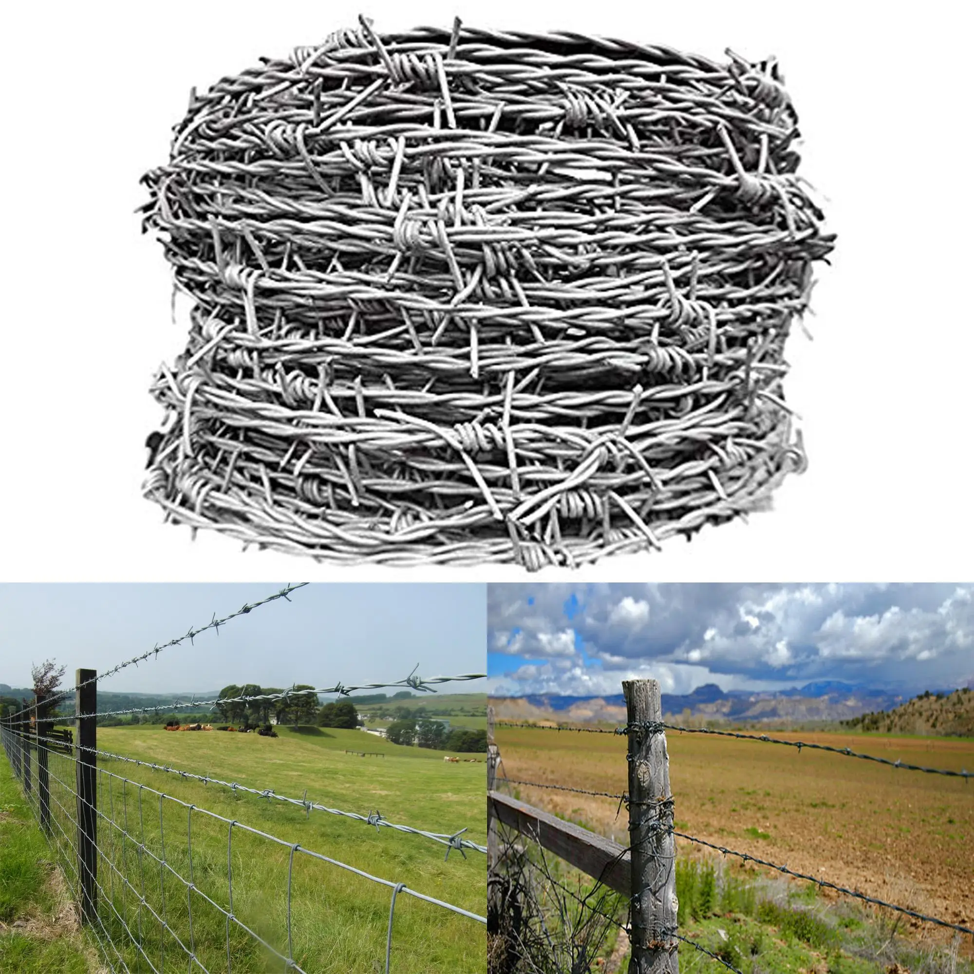 16 gauge galvanized barbed wire