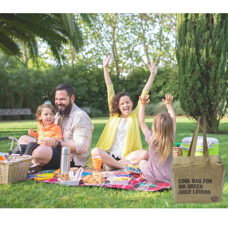 Untearable waterproof tyvek lunch cooler paper bag insulated