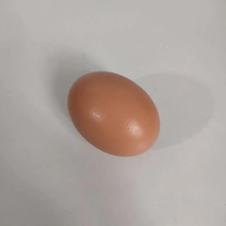 LMA-13 Wooden Fakes Faux Fake-Eggs Children Play Kitchen Game Food Toy Log Color Easter Eggs