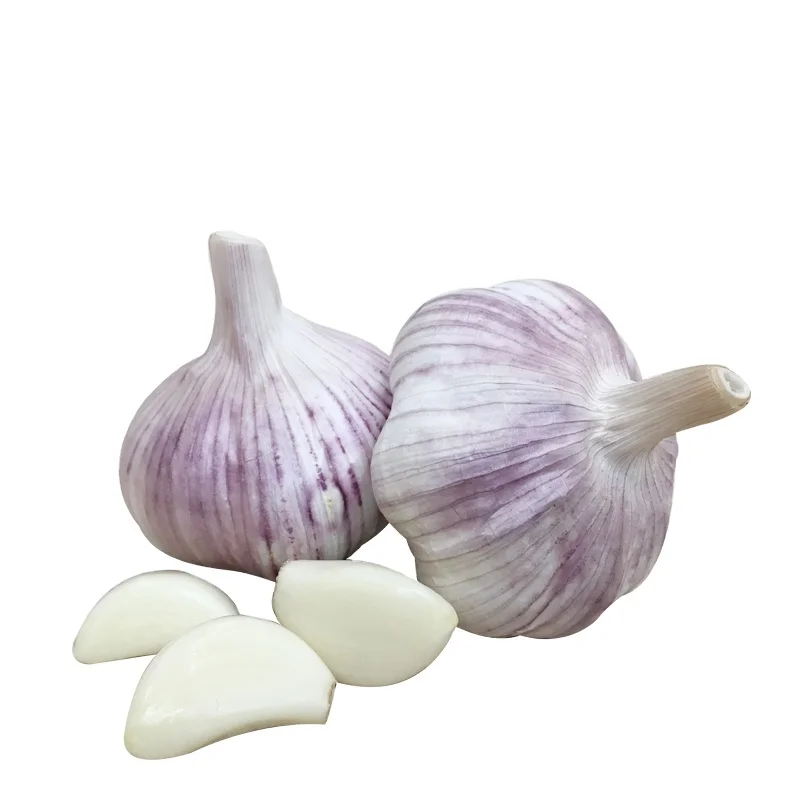 Quality Fresh Normal White Galic Ajo Fresco Purple Garlic Red Garlic With 10kg/20kg mesh bag