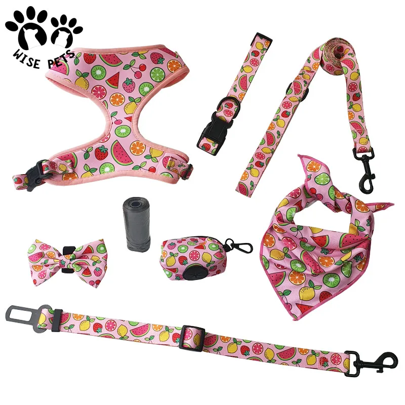 High Quality Pet Harnesses Collar Lead Set Custom Heat Transfer Printed Dog Cat Harness And Leash Set For Walking Training