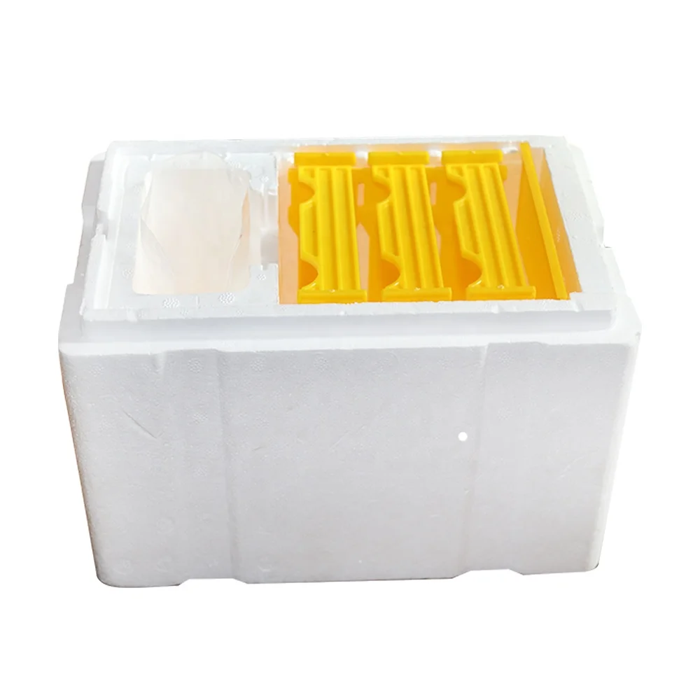 Plastic queen rearing nuc bee box mini queen bee mating box