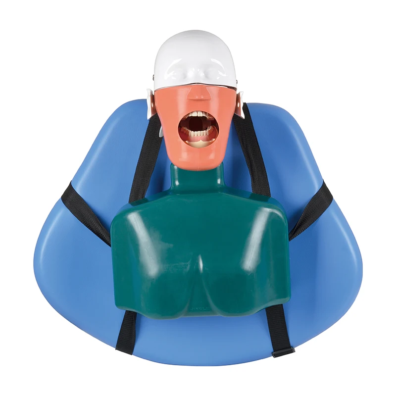 For Training Dentist Simulation Equipment Dental Phantom Manikin Simulator