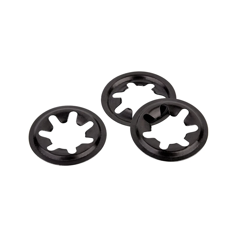 Widely Used Superior Quality Galvanized External Washer Spring Lock