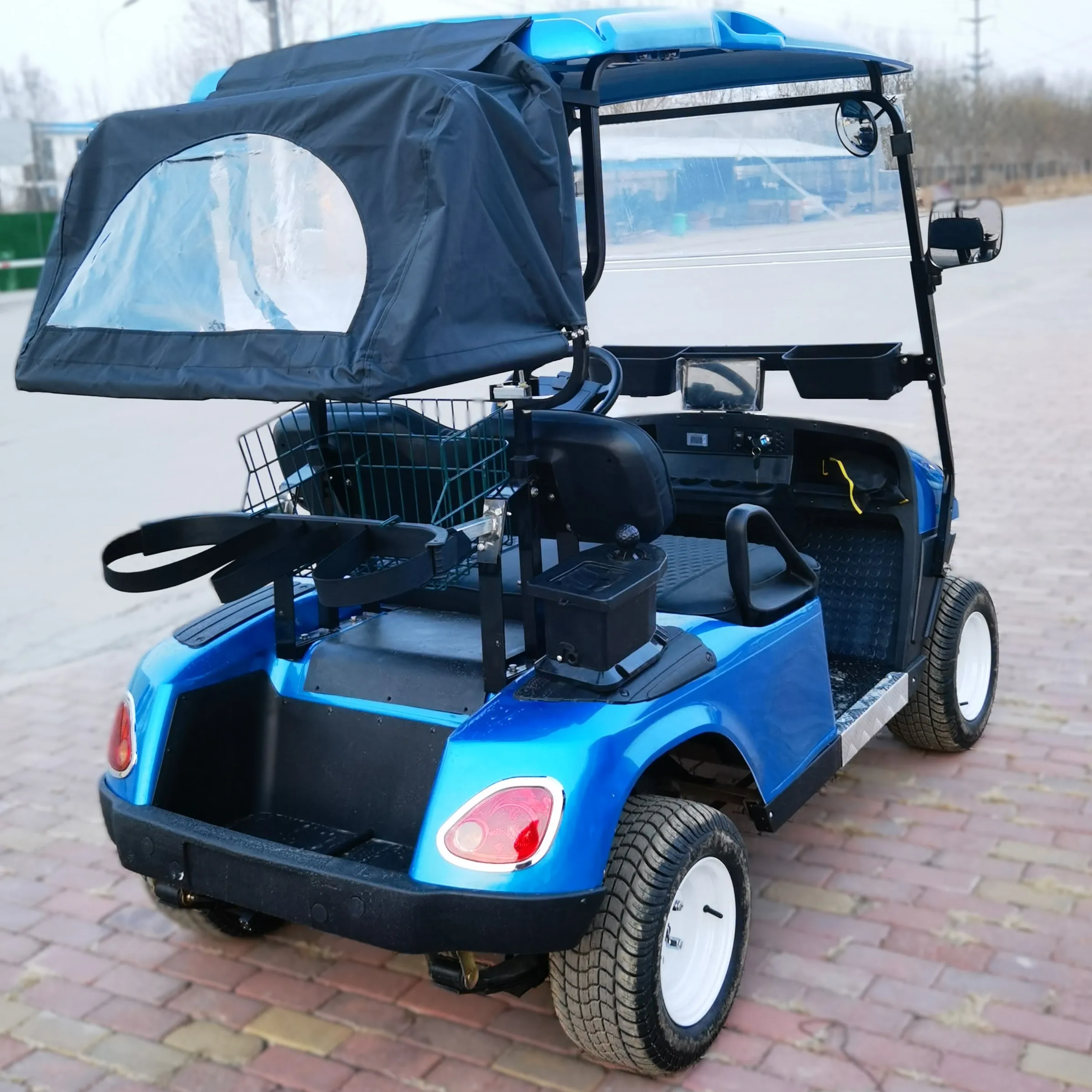 Tong Cai 2 Seater LSV 4 Person Electric Golf Cart With Lithium Battery mobility scooter vehicles carro electrico golf cars