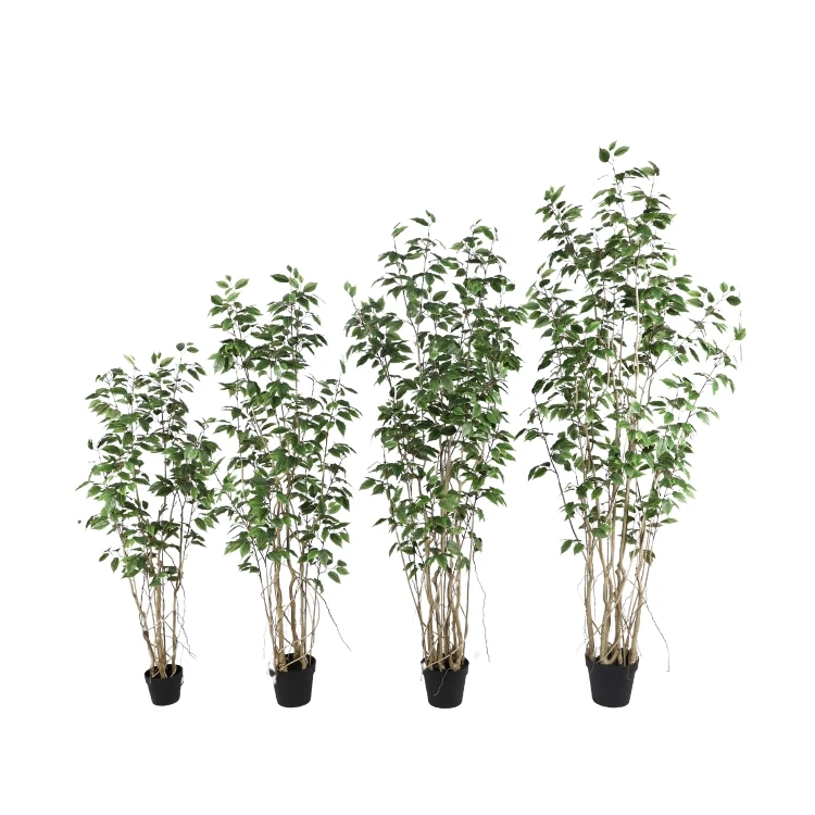 Simulated Ficus macrocarpa  120-220cm Real Wood Trunk Deceptively Real Artificial Banyan Tree with 3 Poles