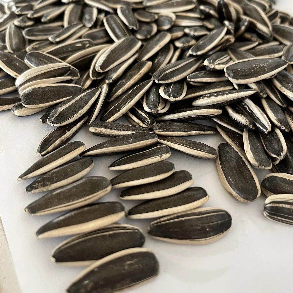 Supply best quality chinese black sunflower seeds large size sunflower seeds 363 export with per ton