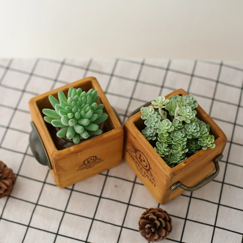 Деревянный Trug с ручкой для растений-суккулентов, деревянная коробка