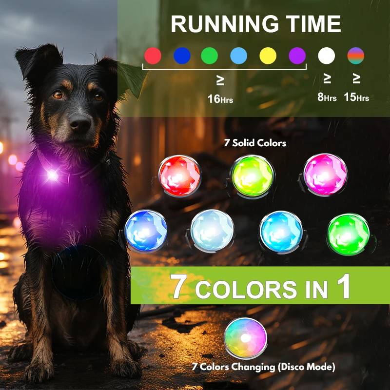 Night Walking Safety Waterproof Rechargeable Light Up Clip On Pet Harness Leash Collar Glowing Pendant LED Dog Light