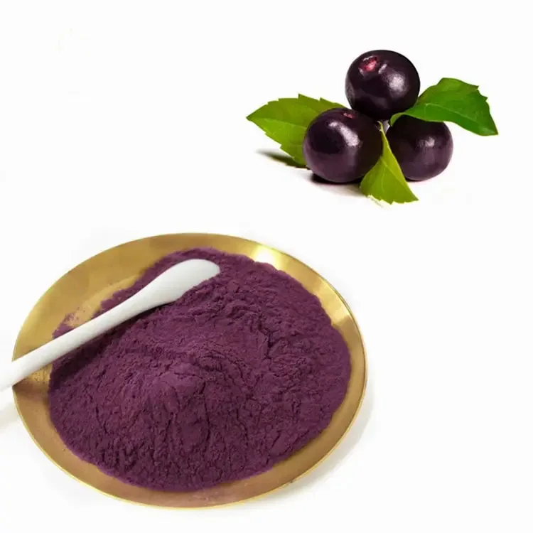 Wholesale Pure Freeze-Dried Acai Berry Powder Natural Fruit Extract with High Protein Content 1kg Minimum Order