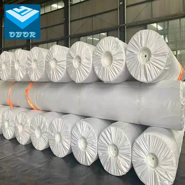 OBOR HDPE геомембрана подкладка для пруда геомембраны Биогазового гристера из Таиланда