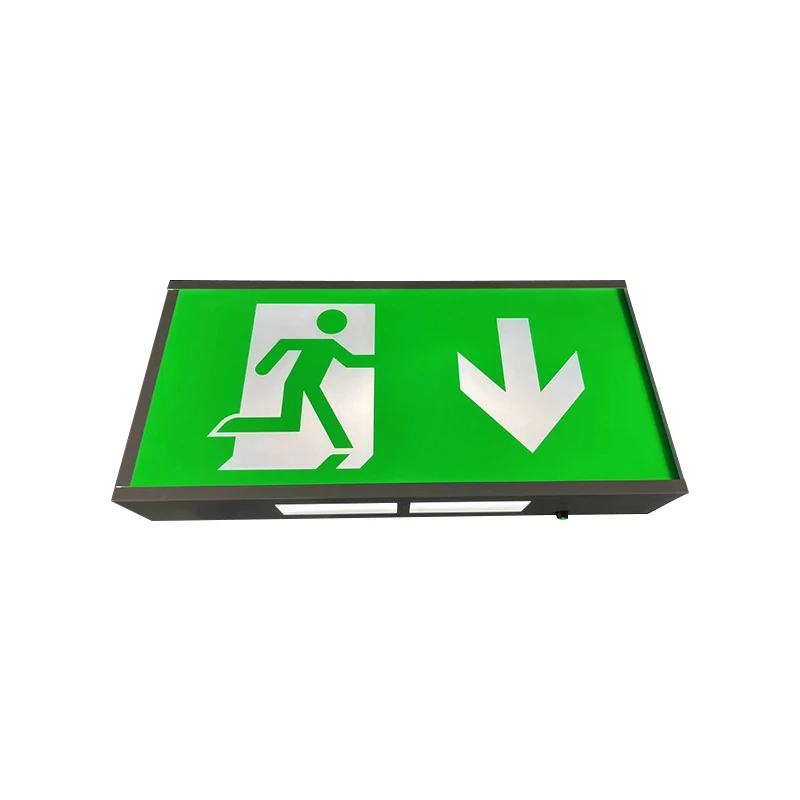 China Factory Rechargeable AC220-240V 3 hours Fire Box LED Emergency Exit Sign Light