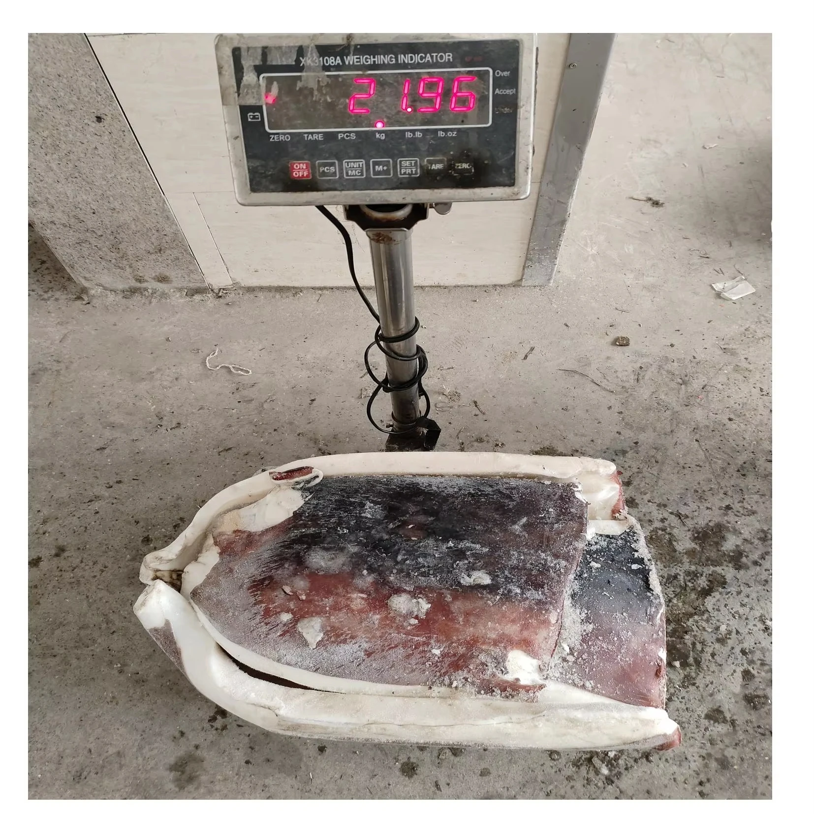 M156 2024 New arrival frozen giant squid skin on  fillet giant squid meat raw material giant squid fillets