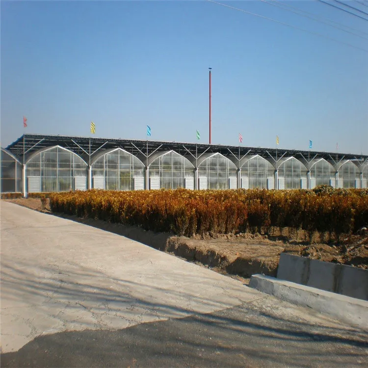 wholesale cheap price multi span  film greenhouse with exhaust fan cooling system