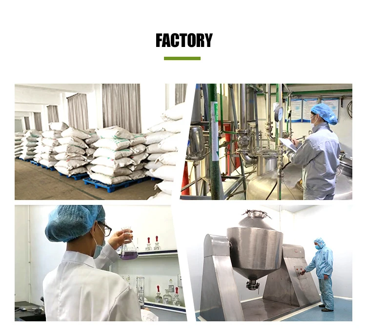 
High Quality Arbutin/Bearberry Extract/Bearberry Extract powder 