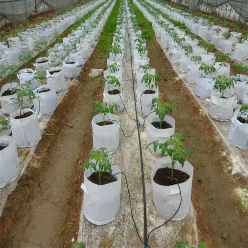 Drip Irrigation System Arrow Dripper irrigation supply agricultural system arrow dripper for pot plant